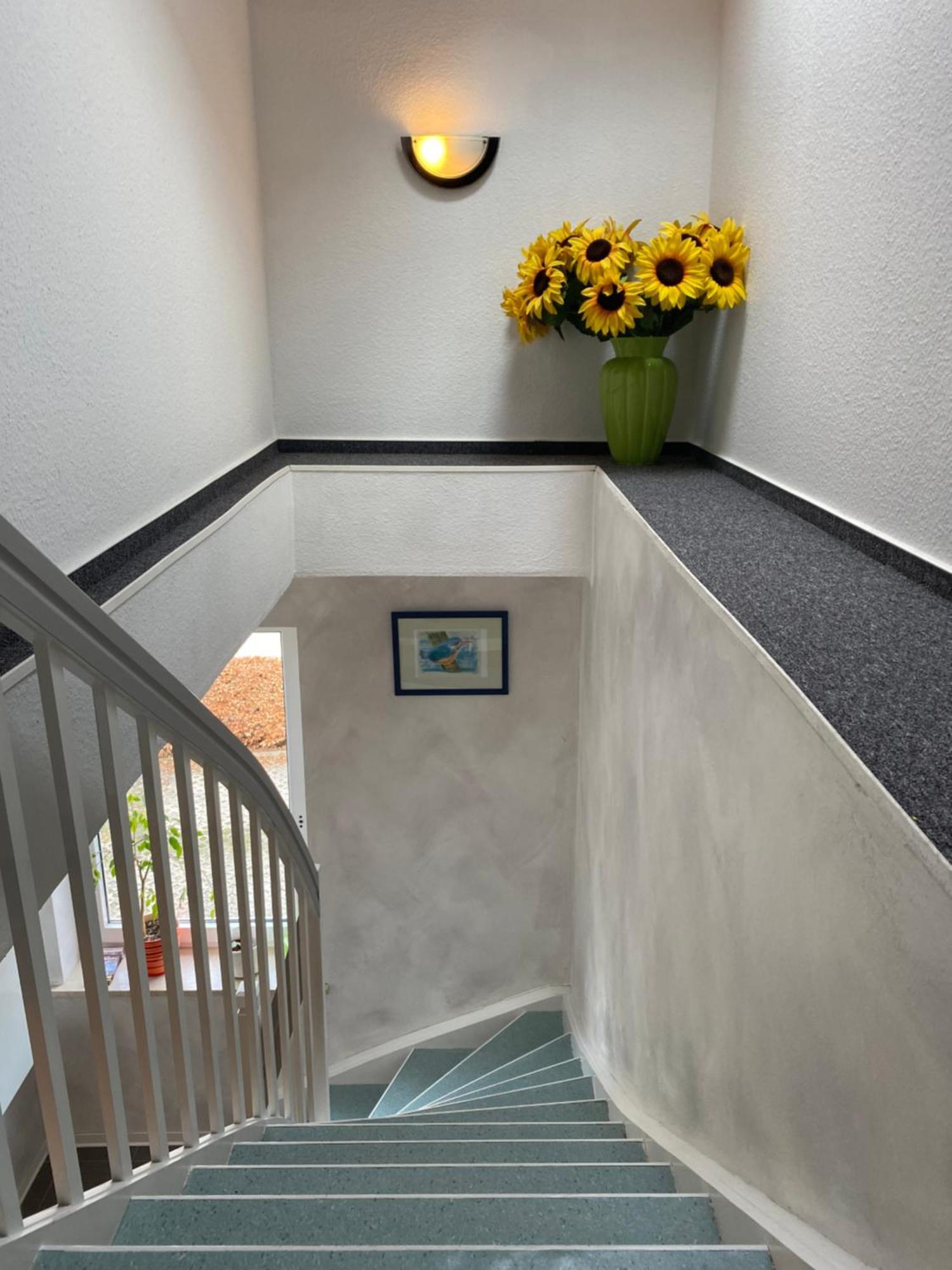 Haus Seewind Warnemuende Rostock Esterno foto